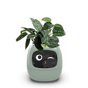 Ivyスマートプランター スマートケア&スマートペット LED画面 スマートホーム機能搭載 観葉植物鉢 ミニ 植木鉢 インテリアグリーン 部屋飾り 小型&軽量 ...