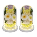 YKFN お供え プリザーブドフラワー 仏花 1対 仏壇用 ブリザードフラワー お供え花 生花 お供え 仏花ドーム 枯れない花 菊 白 薔薇 バラ カーネーショ...