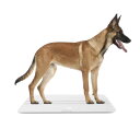 大型犬用の体重計, ペット 体重計, ペットスケール (サイズ:70x...(3)