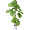 フェイクグリーン 人工観葉植物 73cm 観葉樹 造花 光触媒 消臭 お手入れ簡単 オフィス 室内 インテリア