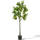 COSTWAY 観葉植物 フェイクレモンツリー 人工観葉植物 観葉樹 大型 高さ160cm 人工観葉植物 フェイク グリーン フェイクグリーン 飾り用 フェイク 室内 玄関先 リビング ベッドルーム カフェ 事務所 オフィス ホーム デコレーション