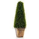 TANGKULA 人工観葉植物 高さ90cm フェイク植物 フェイクグリーン 大型 造花 インテリア 人工 観葉植物 観葉樹 鉢植え 植木 簡単保? 水やり不要 空気清浄 害虫駆除不要 (高さ90cm170)
