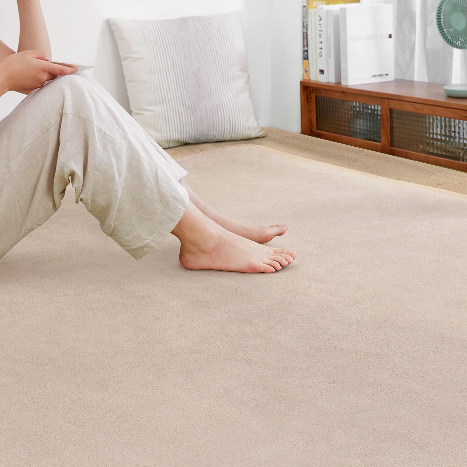 SOMANT ラグ 4畳 カーペット 夏用ラグマット 絨毯 滑り止め付き 防音 厚手 防ダニ 防臭 素肌にやさしい 北欧風 おしゃれ 抗菌 床保護 転倒を防ぐ 床暖房対応 ホットカーペット対応 モカ色200×300cm