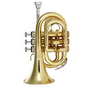 Juspins ミニポケットトランペットBbフラット 金管楽器 マウスピースグローブ付き クリーニングクロスキャリングケース