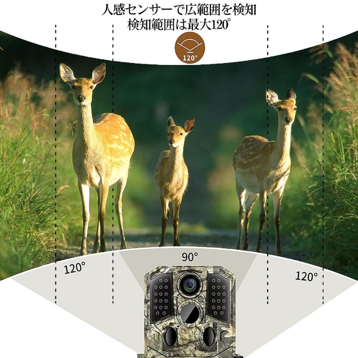 トレイルカメラ 防犯カメラ 赤外線カメラ 3600万画素 32GBメモリーカード付き 0.2s超高速トリガー 120°超広検知範 konanonline-10399571 湖南オンライン サンプル画像2