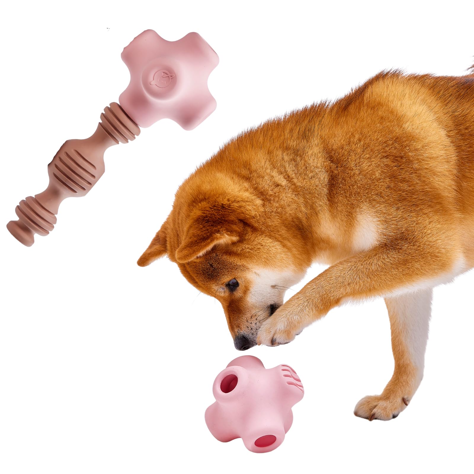 乐天商城 - CaniPlay 犬用噛むおもちゃ 天然ゴム製 無添加 安全無毒 BPAフリー 犬 デンタルケア 20通りの組み合わせ 耐久性 獣医師＆犬訓練士監修