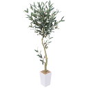 Yuwinron 人工観葉植物 フェイクグリーン 観葉樹 造花 光触媒 消臭 オリーブ 高さ110cm インドア ホームデコレーション
