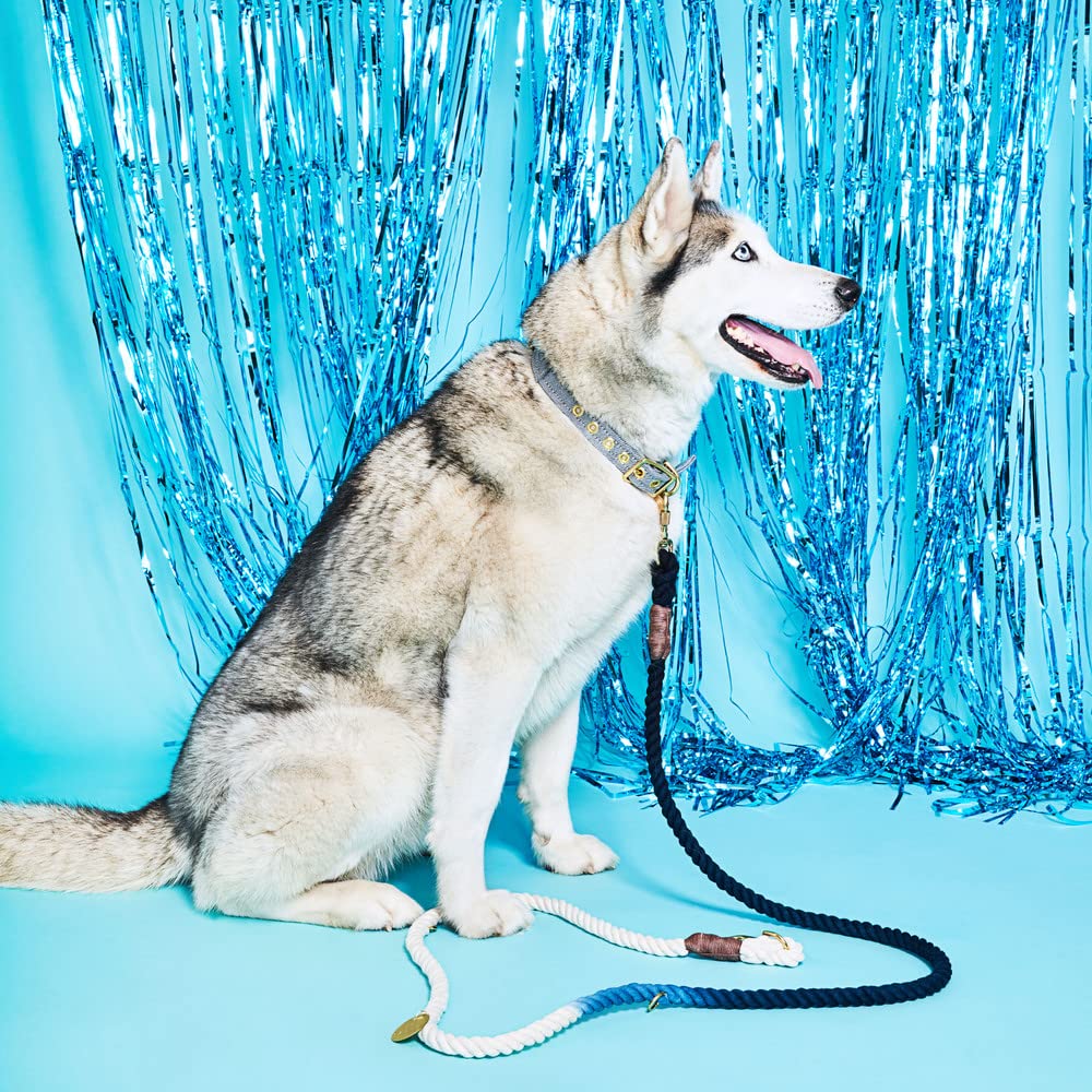 Found My Animal - オリーブオンブルコットンロープ犬用リード (大きい) - 高耐久犬用トレーニングリード - 調節可能な真鍮製ロック可能なカラビナ - 手作りの編み込み犬用リードロープ - 米国製