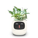 Ivyスマートプランター スマートケア&スマートペット LED画面 スマートホーム機能搭載 観葉植物鉢 ミニ 植木鉢 インテリアグリーン 部屋飾り 小型&軽量 ...