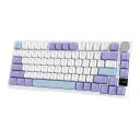AK820 Proメカニカルキーボード 75%リニア軸 RGBホットス...(3)