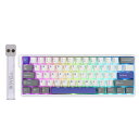 EPOMAKER AULA WIN60 HE MAX 60% 有線磁気キーボード 調整可能な作動点 8000Hzポーリングレート ホール効果スイッチ ホットスワップ対応 FPSゲーム用 (Grey&White&Blue)