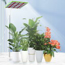 JCBritw 100W 植物育成ライトスタンド付き 自立式 フロア LED植物ライト背の高い植物用 室内栽培 苗木栽培 顕花植物栽培向け水耕栽培ランプ 野菜工場 植物栽培工場 温室/園芸に適用