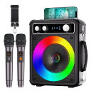 Verkstar カラオケセット 拡声器 家庭用 カラオケマシン ワイ...(3)
