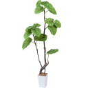 フェイクグリーン 人工観葉植物 122cm 観葉樹 造花 光触媒 消臭 お手入れ簡単 オフィス 室内 インテリア
