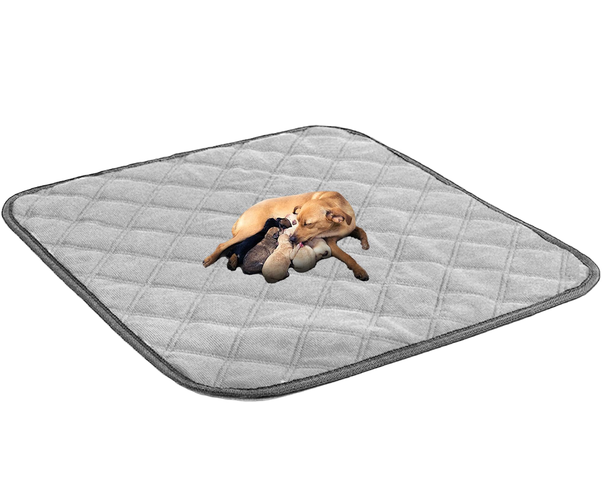 heatcozy 洗えるペットシーツ おしっこパッド 繰り返し使える ペットマット 介護シーツ 小型・大型犬 ..