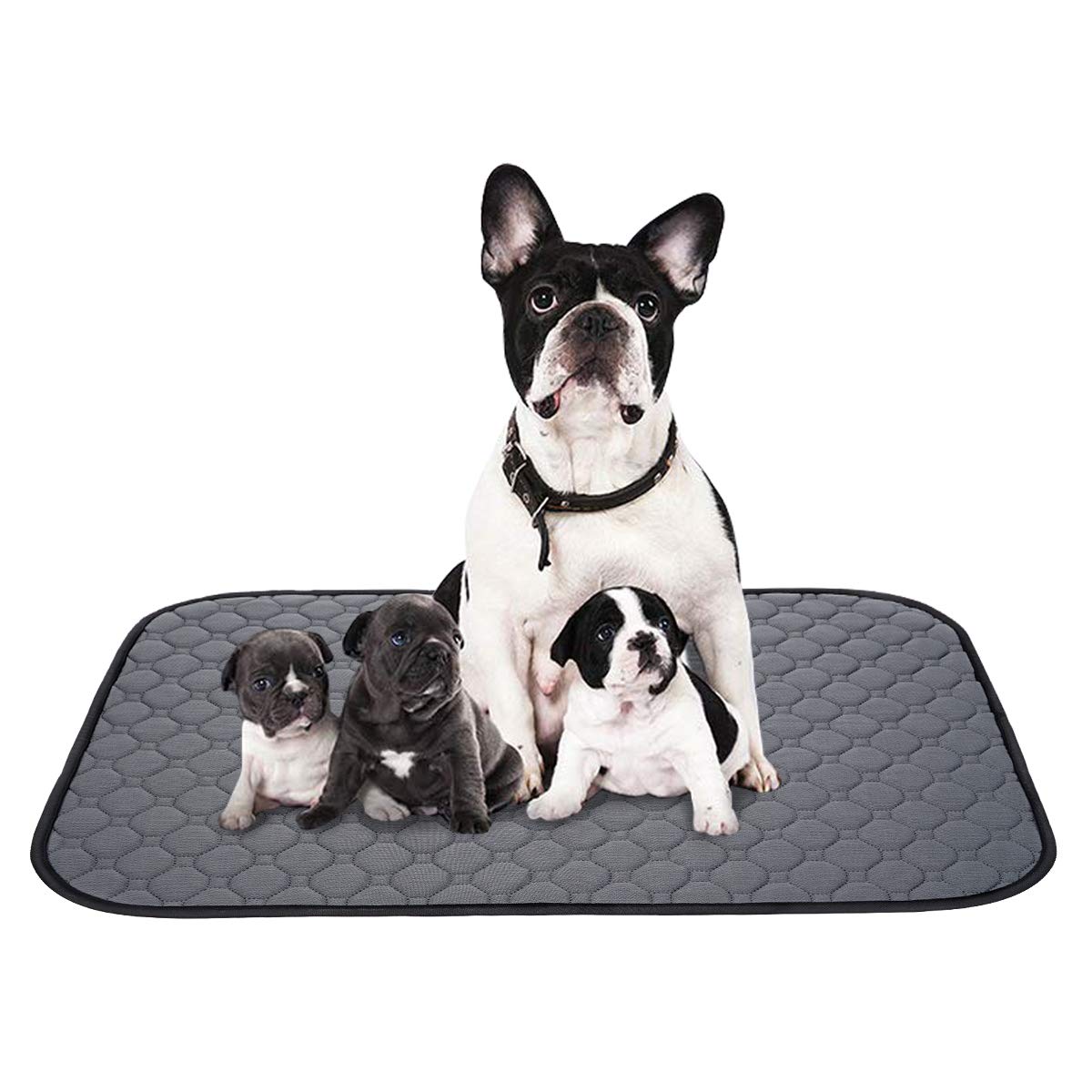 ペットシーツ 洗える 猫 犬用 おしっこパッド ペット用 トイレ下敷きマット 速乾 洗える 大判サイズ 多..