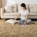 Sun Deco ラグ カーペット シャギーラグ 長方形 160×200cm 洗えるラグ ラグマット 滑り止め 防音絨毯 ふわっと手触り オールシーズン リビング用 じゅうたん 柔らかい (モカ, 160×200cm)