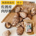 原木しいたけ 椎茸 肉厚 完全無農薬栽培 新潟県 佐渡産 60g【食卓応援セール】【沖縄配送不可】
