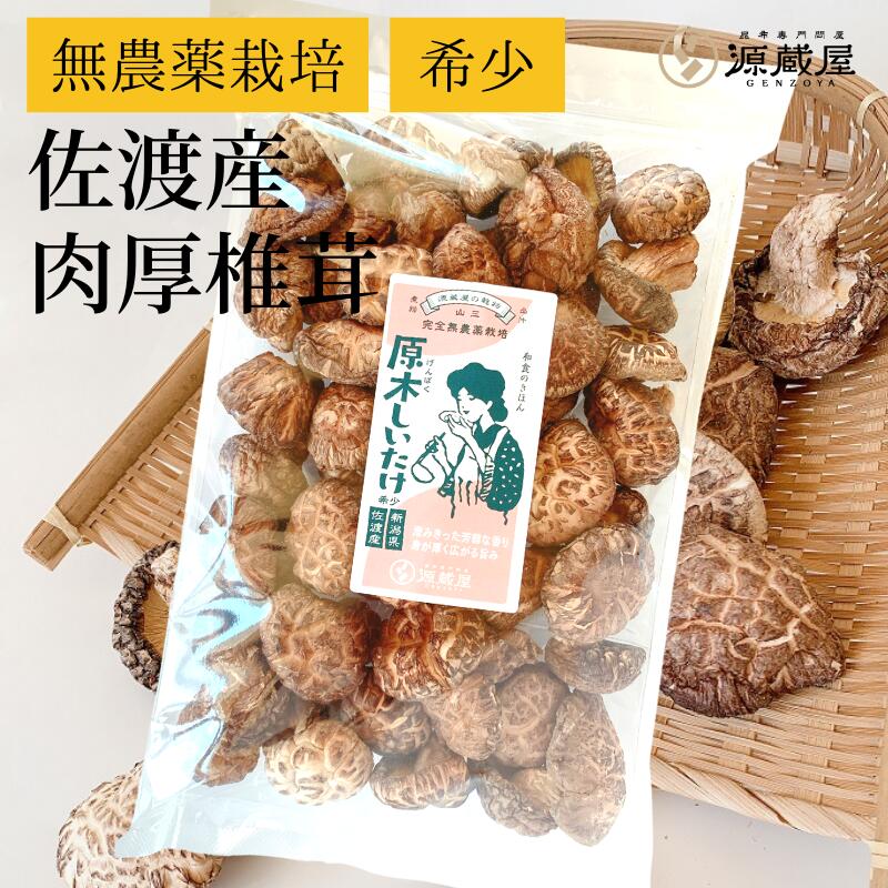 [大袋] 原木しいたけ 椎茸 肉厚 完全無農薬栽培 新潟県 佐渡産 250g【食卓応援セール】