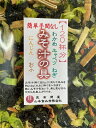 74001 メール便 みそ汁の具300g 野菜[12