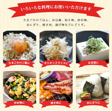 【訳ありセール!】和風の粉 袋入り 100g 昆布屋きたまえ昆布 粉末だし 出汁 無添加 国産 減塩 和食 調味料 こんぶ だし昆布 ダシ昆布 だしこんぶ 出汁昆布 アウトドア