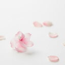 プラスディー +d カゼグルマ ( 桜・単品 )【 楽天スーパーSALE お買い物マラソン 公式 正規品 マグネット 風ぐるま 風車 取扱店 ギフト 贈り物 】
