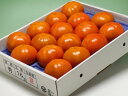 石川県かほく市特産『紋平柿/もんべいがき』L 16玉化粧箱入 - 石川の地酒専門店 こんちきたい