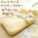 ベッド 犬 猫 夏用 冷感 洗える 小 中 大型犬 ペットベッド ひんやり 高反発 枕付き ペット敷きパッド 滑り止め 取り外し可能 ペットマット クールベッド 熱中症対策 接触冷感 快適 涼しい クール