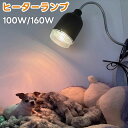 【POINT 20倍】ペット用 発熱ランプ ヒーターランプ 100W/160W ガラスランプ 熱電球 加熱 暖かい 犬 ネコ うさぎ ヒヨコ 動物用冬眠対策 保温 暖房 寒さ対策 防寒 安全 クリップ式 フロア式 秋冬