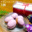 クランベリーケーキ バターたっぷり100%使用 5個入り 焼き菓子 スイーツ 個包装 ご贈答 プレゼント イベント 催事 まとめ買い 母の日 敬老の日 のし対応...
