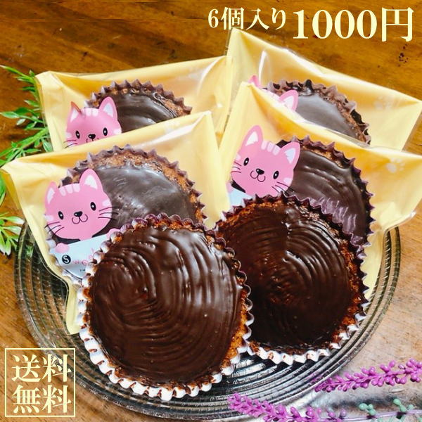 チョコチップごろごろ チョコレー