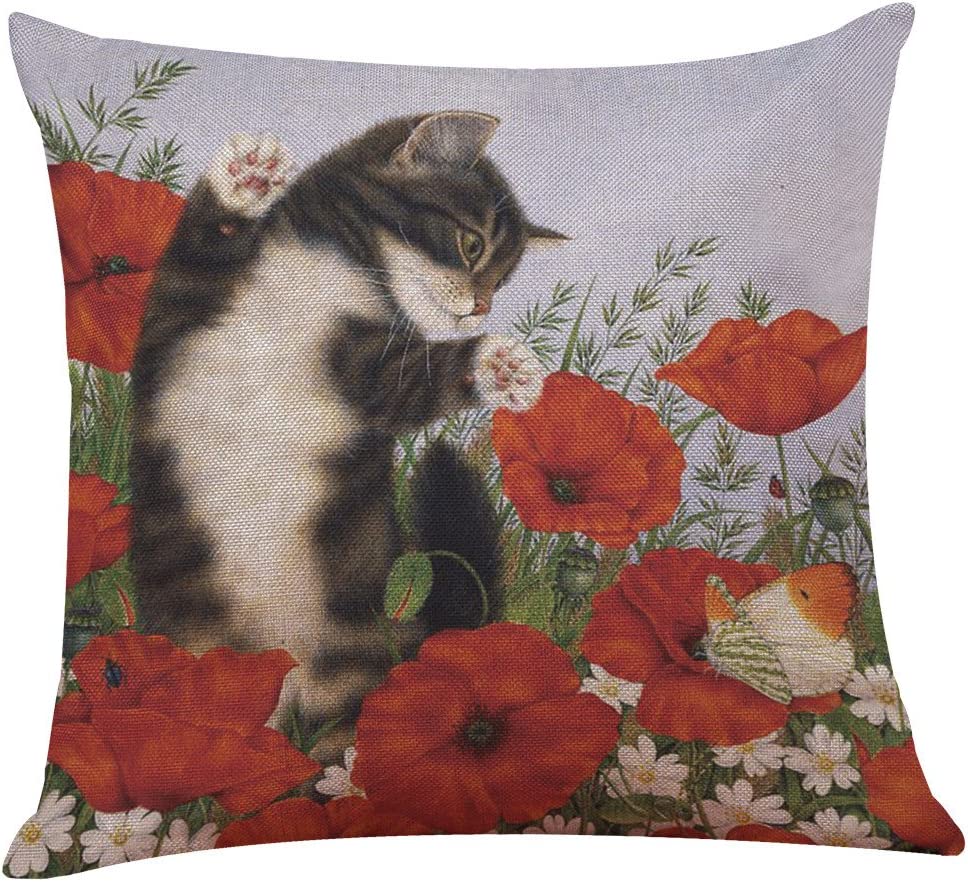 ��ǭ ���å���� ���С� ���襤��ǭ ������ 43*43cm ���त������ A��H