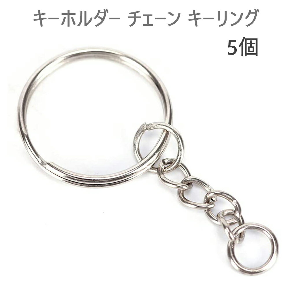 キーホルダー チェーン キーリング アクセサリー材料 5個