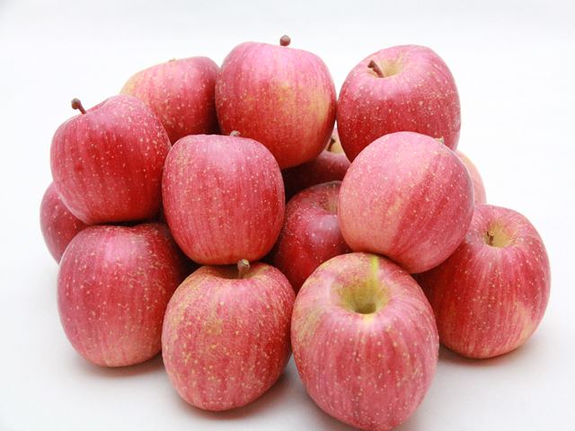 長野県北信州産家庭用蜜入りサンふじりんご10Kg