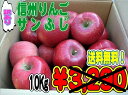 長野県北信州産訳あり家庭用蜜入りサンふじりんご10Kg...