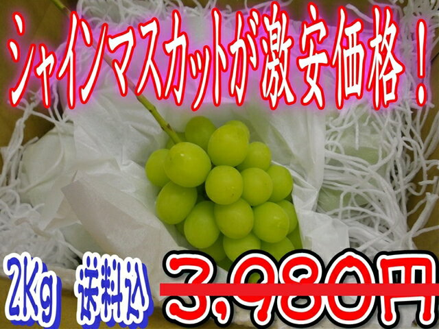 【楽天市場】長野県産 シャインマスカット2kg：果実屋紺右ェ門