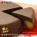 チョコレート ケーキ はちみつアル