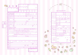 ＜出生届製作所＞デザイン 出生届 おもちゃ 赤ちゃんへの初めての贈り物