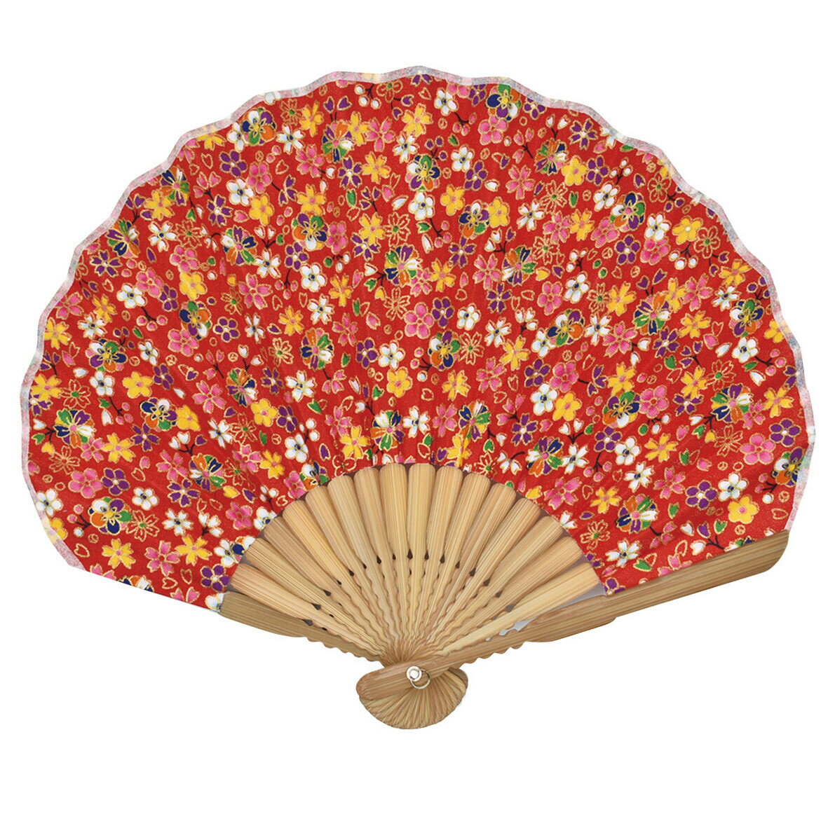 Ripple FAN  22cm  뷿    ǥ  ѥ       襤 ...