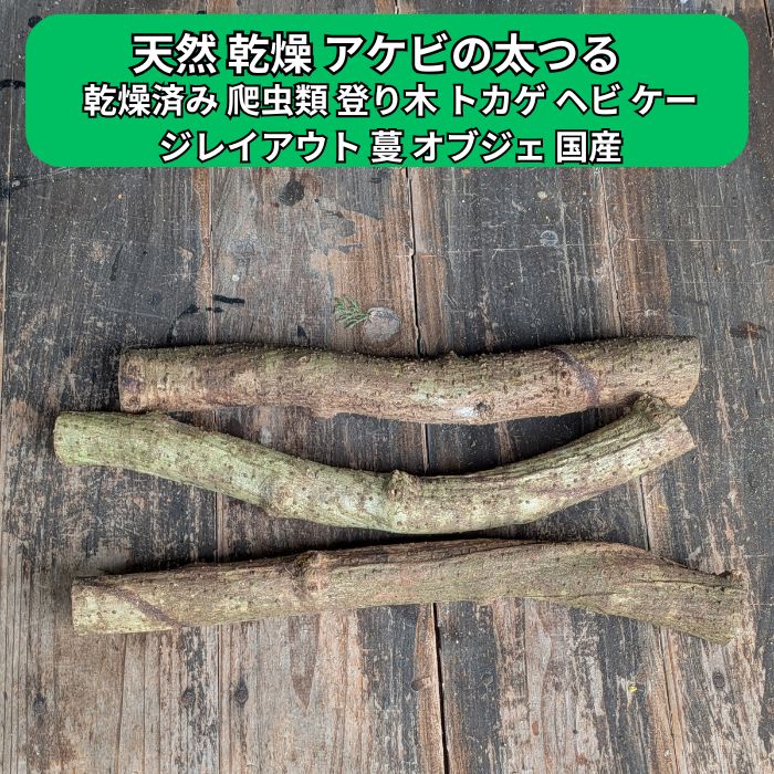 【現物お届け・一点物】天然アケビのつる 乾燥済み・3本セット 徳島県の山林から採取した、天然アケビのつるです。 農薬を使用していない場所から採取し、採取後は十分に乾燥させています。 凹凸のある自然な木肌と、天然のつるならではの曲がりやうねりが特徴です。 爬虫類ケージ内のレイアウト素材や登り木、クラフト、インテリア素材などにご利用いただけます。 ※商品写真に写っている現物3本をそのままお届けします。 天然素材は一本ずつ形が異なりますので、写真で形状をご確認のうえご注文ください。 🔍 今回お届けする現物 ``` 種類：天然アケビのつる 太さ（直径）：約3cm〜3.5cm 長さ：約30cm 本数：3本セット 状態：乾燥済み・外皮付き ``` 商品詳細 ``` 商品名 徳島県産 天然アケビのつる（3本セット・現物お届け） 状態 乾燥済み・外皮付き サイズ 長さ：約30cm／直径：約3cm〜3.5cm 用途例 爬虫類ケージのレイアウト・登り木・立体レイアウト素材・クラフト・インテリアオブジェなど 発送 送料無料 ゆうパックで発送 ``` 【天然素材について】 ``` 山林から採取した天然素材のため、曲がり、太さ、木肌、色合いなどは一本ずつ異なります。 また、多少の土汚れ、外皮の剥がれ、傷、変色などが見られる場合があります。 人工的に加工された木材とは異なる、天然素材ならではの状態としてお届けします。 ``` ``` 【ご購入・ご使用時の注意点】 ・商品写真に写っている現物3本をお届けします。形状・太さ・曲がりなどを写真でご確認のうえご注文ください。 ・天然素材のため、ご使用前に表面や状態をご確認ください。 ・爬虫類ケージで使用する場合は、生体の種類・大きさ・飼育環境に合わせて、転倒や落下などが起こらないようしっかり固定してご使用ください。 ・高温多湿の環境では、天然木のためカビなどが発生する場合があります。定期的に状態をご確認ください。 ・本品は陸上でのケージレイアウト・クラフトなどを想定した天然素材です。水中での使用はお控えください。 ・自然採取品のため、多少の土汚れや外皮の剥がれなどがある場合があります。 ``` 天然ひのきの生葉も販売中！ 和食のあしらいや、お正月の飾り葉などにお使いいただける天然ひのきの生葉も販売しています。 当農園で採取した生葉をお届けします。 少量だけ必要な方には、【10枚セット・送料無料】もございます。 天然採取した乾燥アケビ蔓です。洗浄・煮沸・薬剤等による処理は行っておりません。爬虫類・昆虫等の飼育環境で使用する場合は、必要に応じて購入者様で用途に適した処理を行ってください。