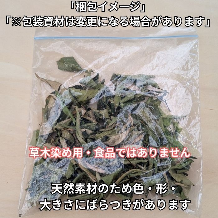 【送料無料】スダチ 乾燥 枝 葉 約50g 草木染め 天然染料 染色素材 すだち スダチ染め 柑橘 植物染め ハンドメイド 自然素材 食品ではありません konisinouen-10000600 コニシ農園 楽天市場店 サンプル画像2