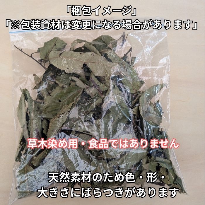 【送料無料】クリ 栗 乾燥 枝 葉 約50g 草木染め 天然染料 染色素材 栗染め くり 植物染め ハンドメイド 自然素材 食品ではありません konisinouen-10000604 コニシ農園 楽天市場店 サンプル画像2
