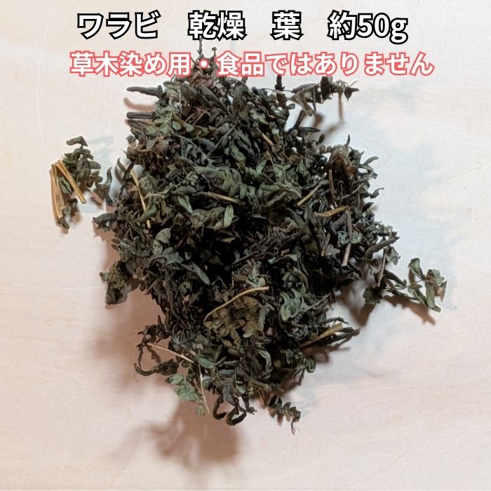 楽天市場】乾燥 ワラビの通販