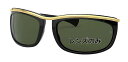 Ray-Ban レイバン 純正レンズ OLYMPIAN I RB2319 G-15 green