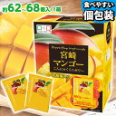 便利で食べやすいパウチタイプ! こんにゃくゼリー ひとくち蒟蒻ゼリー こんにゃくパーク 宮崎マンゴー こんにゃくミニゼリー BOX入り パウチ 大容量 個包装タイプ ゼリー ダイエット食品 ダイエットゼリー 蒟蒻 ヨコオデイリーフーズ (1箱1000g・約62~68個入*1個)
