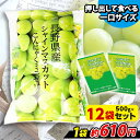 便利で食べやすいパウチタイプ! こんにゃくゼリー ひとくち蒟蒻ゼリー 長野県産 シャインマスカット こんにゃくミニゼリー こんにゃくパーク パウチ 大容量 個包...