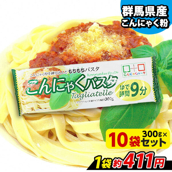 【ランキング1位獲得】 こんにゃく麺 蒟蒻パスタ こんにゃくパーク こんにゃくパスタ タリアテッレ 平..