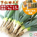 【2023年度産｜数量限定】 【ランキング1位獲得】太くて美味しい2L～3Lサイズ！4kg 下仁田ネ ...