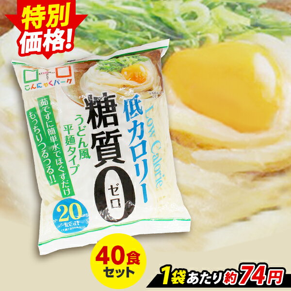 送料無料 ヨコオデイリーフーズ 糖質0うどん風平麺タイプ こんにゃく麺 蒟蒻 180g×20個