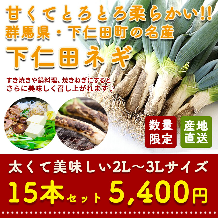 11/30迄のご注文で生芋糸こんにゃく5袋サービス！下仁田ねぎとセットですき焼きの具材におすすめ★群馬県から産地直送 冬限定 下仁田葱　【予約販売｜12/8～12/22までに発送】 下仁田ネギ 2025年度産 太くて美味しい2L〜3Lサイズ！ 贈答品にもおすすめ 4kg 下仁田ねぎ 15本入り 2Lサイズ 3Lサイズ 下仁田葱 特産セット 大きい 群馬県産 産地直送 こんにゃくパーク ND-15【ランキング1位獲得】【数量限定】